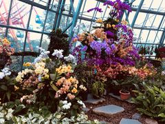 -芽庄珍珠岛游乐园