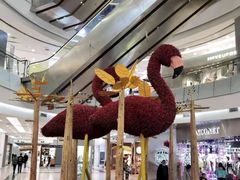 -凯德广场(学府店)