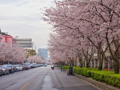 -永乐路-路侧停车场