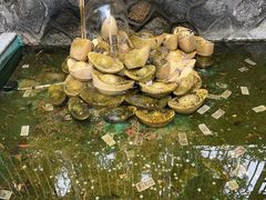 -珠海圆明新园