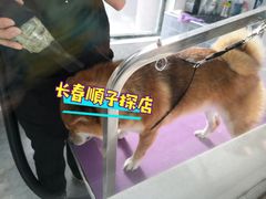 -宠颐生动物医院·心脏科·保险定点(锦阳分院)