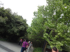 -紫竹院公园冰场