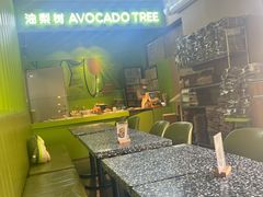 -油梨树AVOCADO TREE(顺义新国展店)
