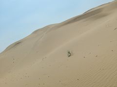 -银肯塔拉沙漠生态旅游景区