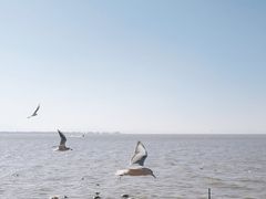 -滇池海埂公园