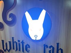 -白兔子密室(长寿路店)