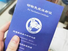 -宠福鑫康馨动物医院·骨科·眼科