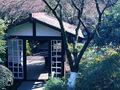 -中国茶叶博物馆(双峰馆区)