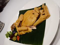 -五棵树•粤西高凉菜(琶洲店)
