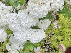 -大龙山(地铁站)