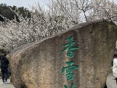 -香雪海