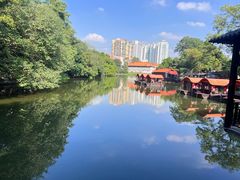 -侨美·唐荔园·40年地道粤菜