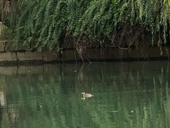 -贵阳市花溪国家城市湿地公园