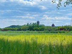 -永定河休闲森林公园