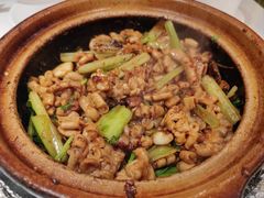 -煲煲好(朝阳门店)