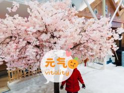 -Mr·Kuma酷么先生雪之乐园