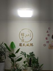 -寇氏减肥