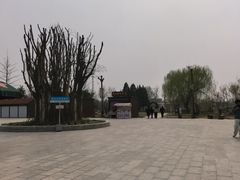 -赵州桥景区