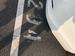 -迪士尼乐园停车场