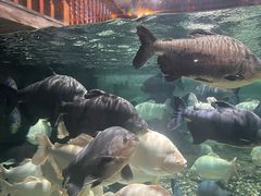 -成都浩海立方海洋公园