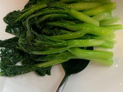 -食神鱼头佛跳墙(百子湾旗舰店)