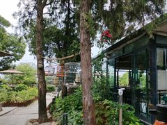 -蘇河湾·新鲁菜·泰山宴(泰山店)