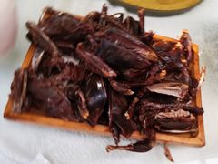 -食家鸽园