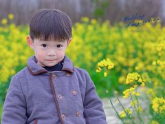 -武汉紫薇都市田园