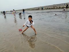 -南汇嘴观海公园