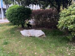 -金陵科技学院（幕府校区）食堂