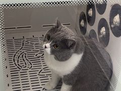 -博特宠物医院24h犬猫全科.骨科·异宠