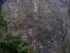 -桂林独秀峰王城景区