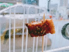 -脆皮五花肉(建东街旗舰店)