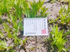 -翠湖国家城市湿地公园