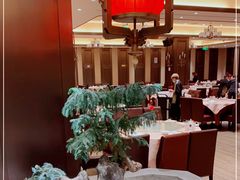 大堂-宝园酒家(美林M·LIVE天地东座店)