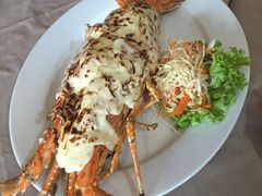 -Red Lobster