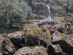 -龙苍沟森林公园