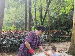 -火炉山森林公园