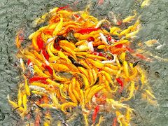 -沂蒙云瀑洞天景区