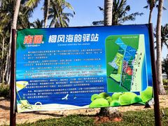 -东郊椰林