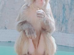 -白帝城·瞿塘峡景区