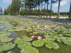 -长兴岛郊野公园农场食堂
