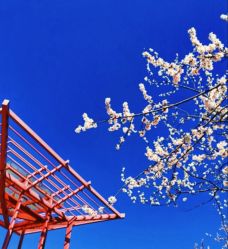 -大望京儿童游乐场