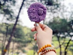 -北京西山国家森林公园