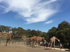 -威勒比开放式动物园