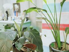-鲜果盒子(会展店)