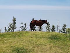 -武汉紫薇都市田园