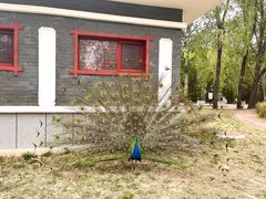 -北京麋鹿生态实验中心