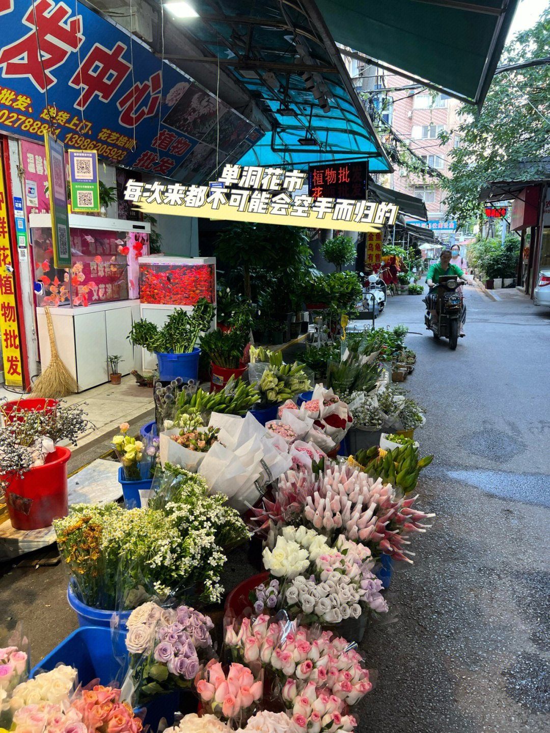 单洞鲜花市场98|亲自选一束花当作礼物吧