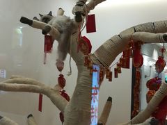 -袖虎·猫馆(体育西路店)